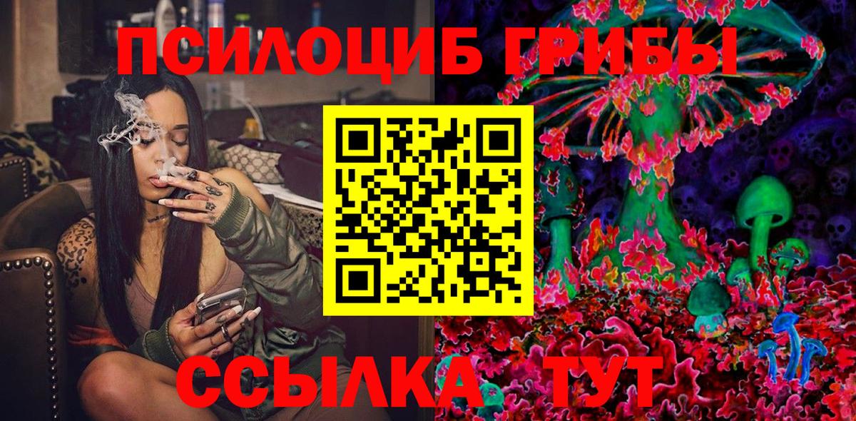 Псилоцибиновые грибы прущие грибы Вышний Волочёк
