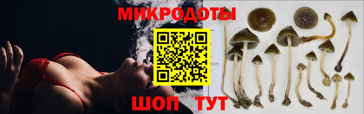 Галлюциногенные грибы MAGIC MUSHROOMS  Вход с VPN  Псилоцибиновые грибы мухоморы  Вышний Волочёк 